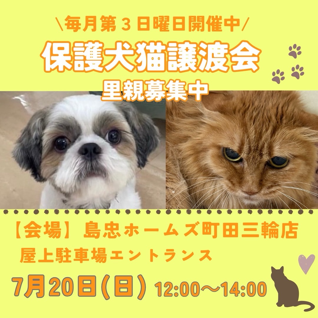 7/20島忠保護犬猫譲渡会 – 町田動物愛護の会